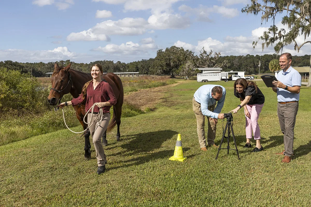 From left to right: Samantha Brooks, Ph.D., Adam Biedrzycki, BVSc, Ph.D., Yenisel Cruz-Almeida, MSPH, Ph.D., and Kyle D. Allen, Ph.D., are coming together to study osteoarthritic pain in horses — and better understand how pain manifests in both humans and animals. Photo by Cat Wofford.