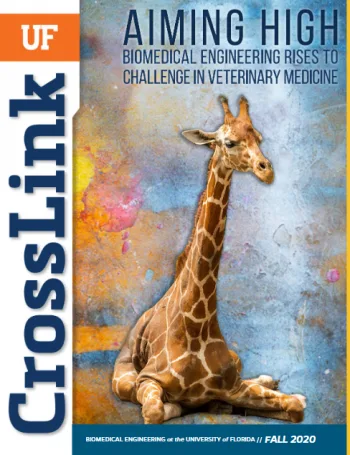 Cover of CrossLink Fall 2020